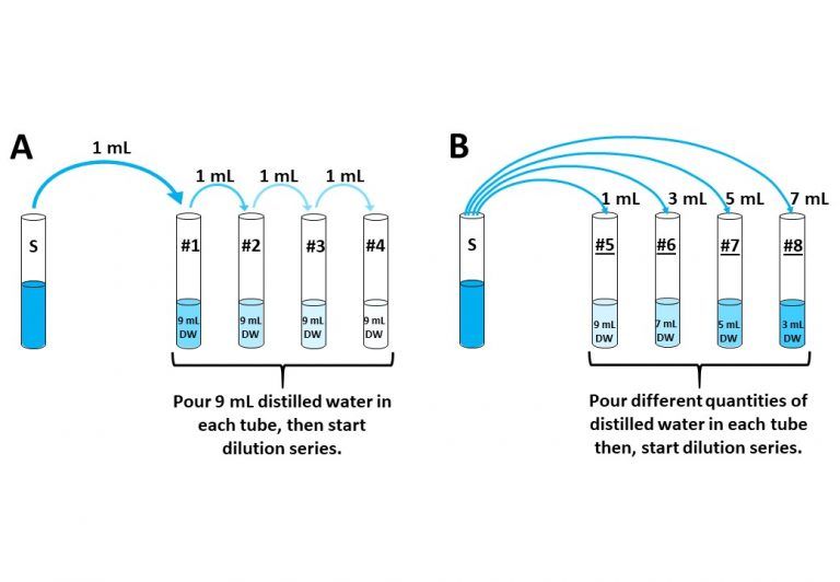 dilution series experiments